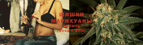Альфа ПВП Аркадак
