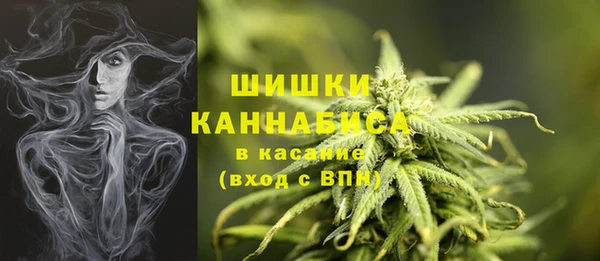Альфа ПВП Аркадак