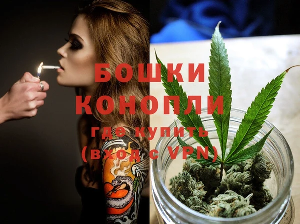 Альфа ПВП Аркадак