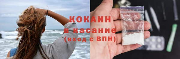 дживик Арсеньев