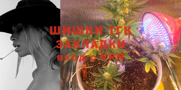 Альфа ПВП Аркадак