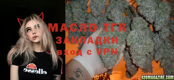 дживик Арсеньев