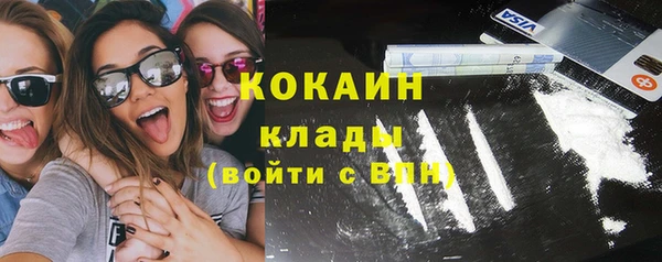 дживик Арсеньев