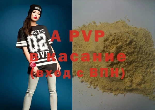 дживик Арсеньев