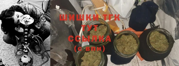 Альфа ПВП Аркадак