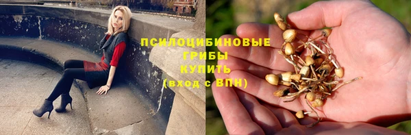 дживик Арсеньев