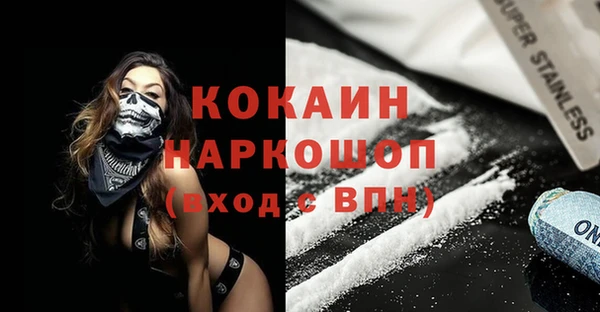 дживик Арсеньев