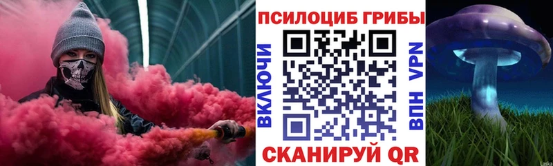 Псилоцибиновые грибы мицелий  Снежногорск 